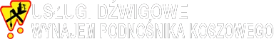 Usługi Dźwigowe - Wynajem podnośnika koszowego logo
